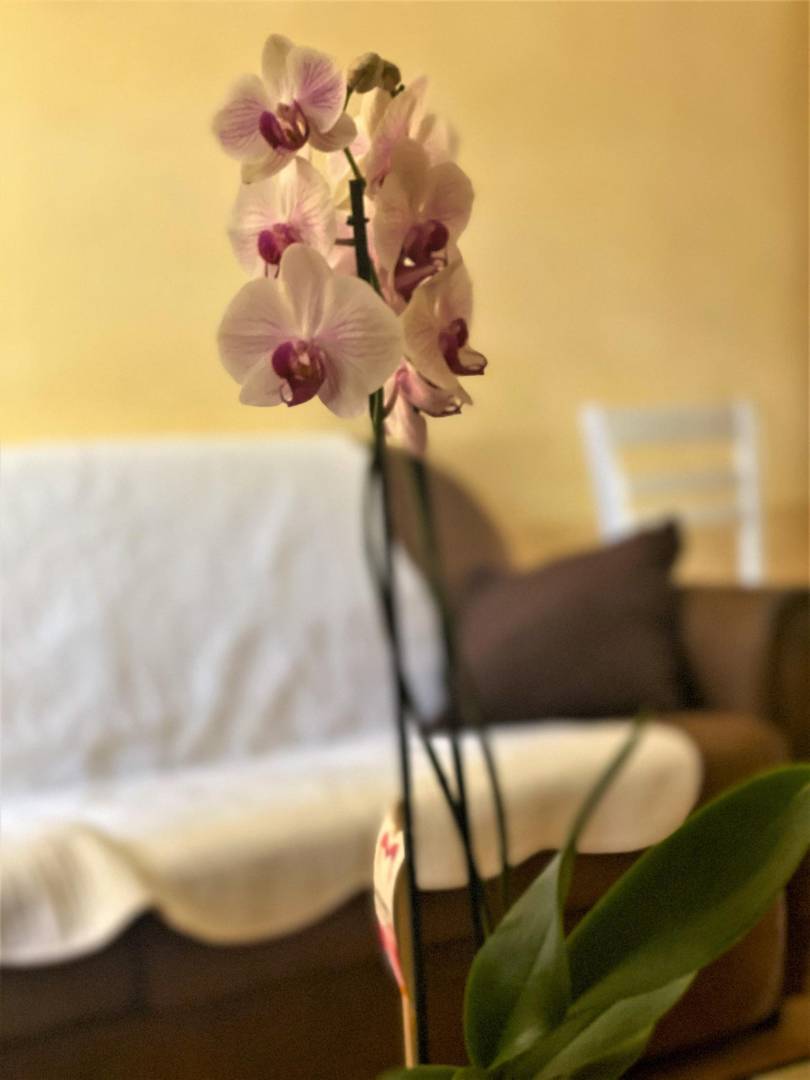 foto9