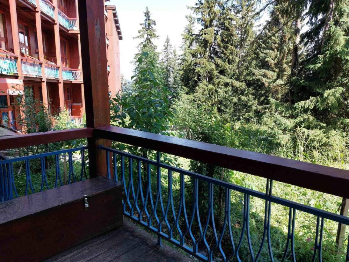 foto16