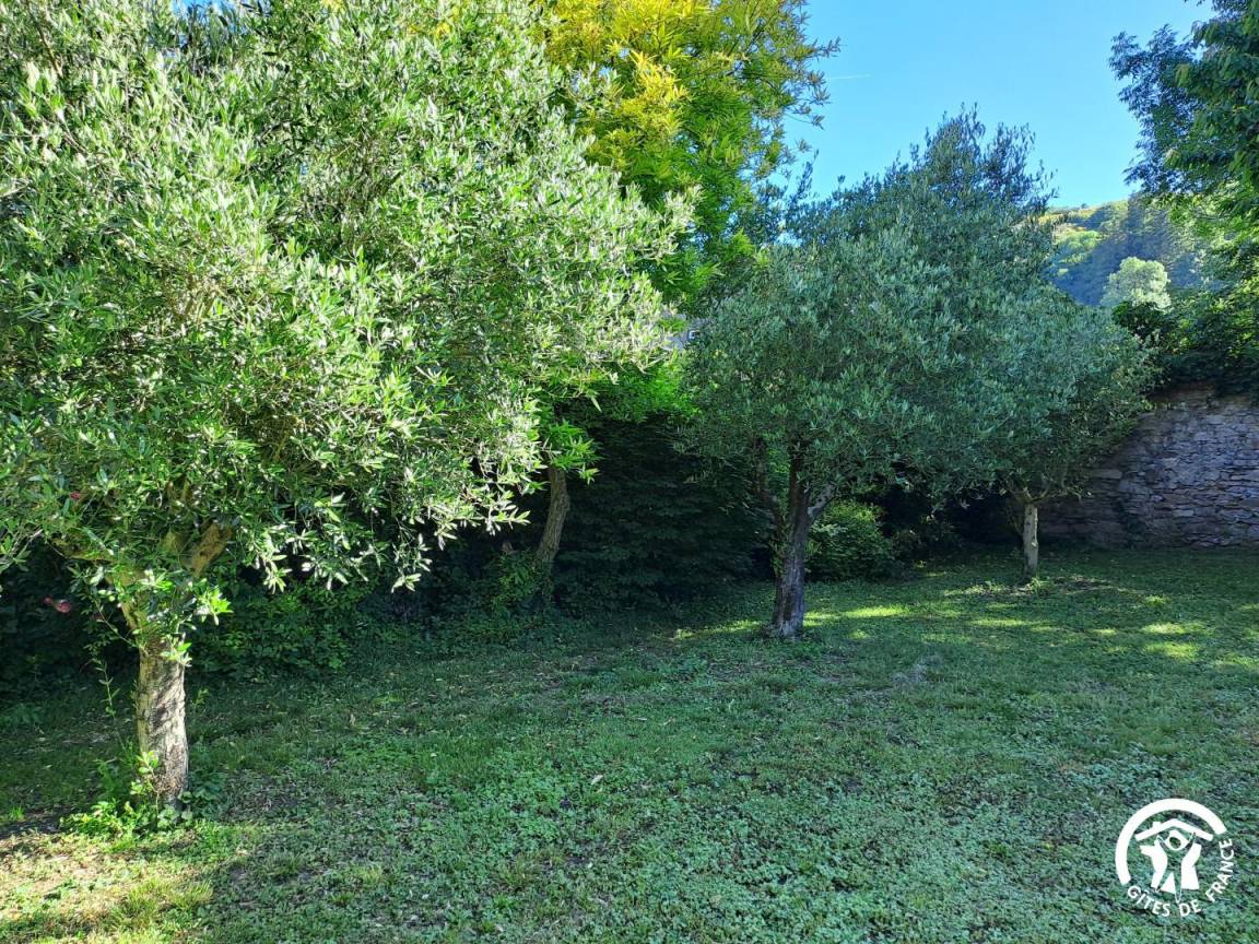 foto20