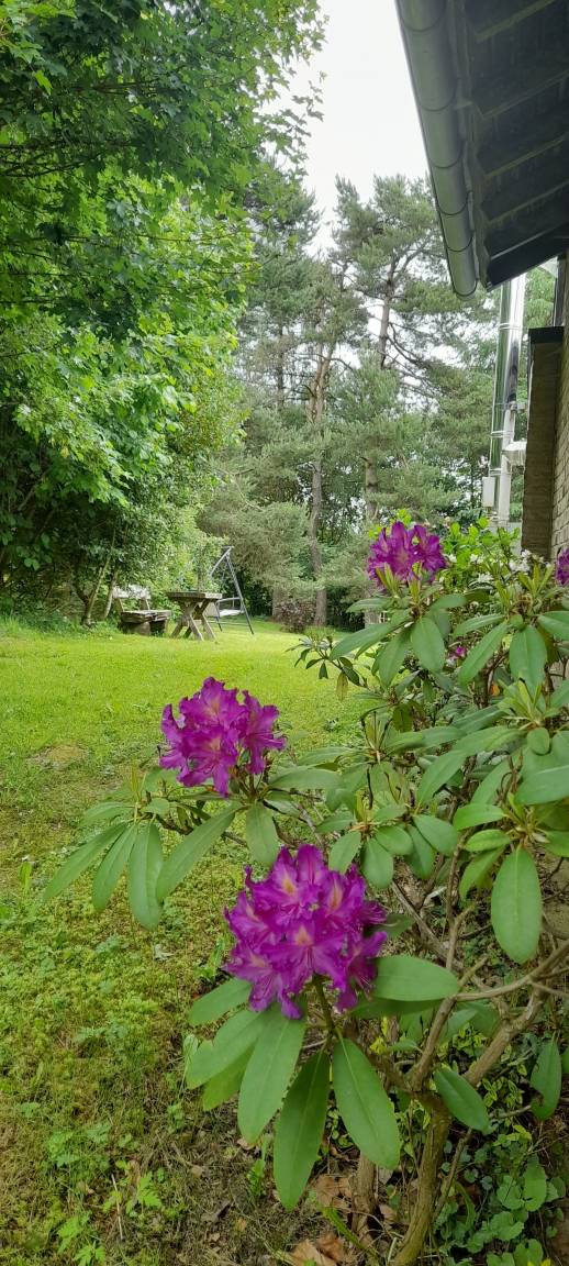 foto20