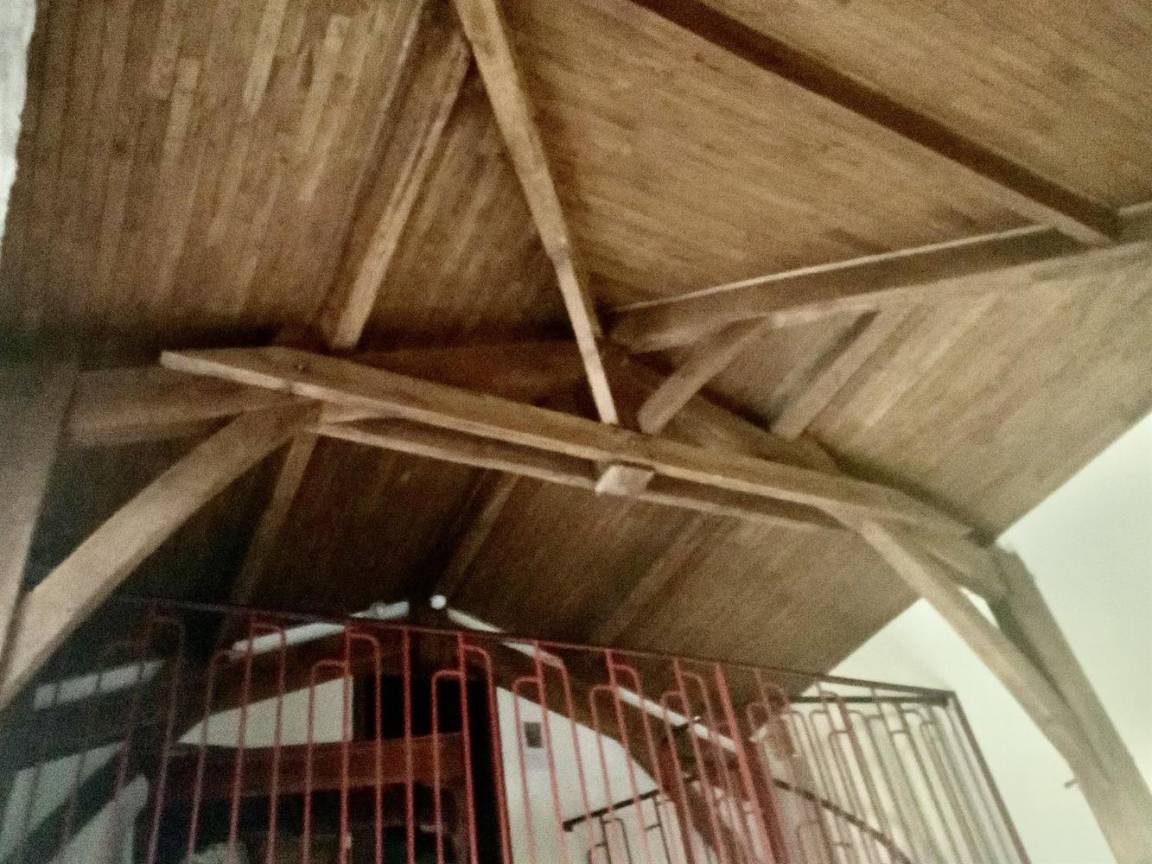foto11