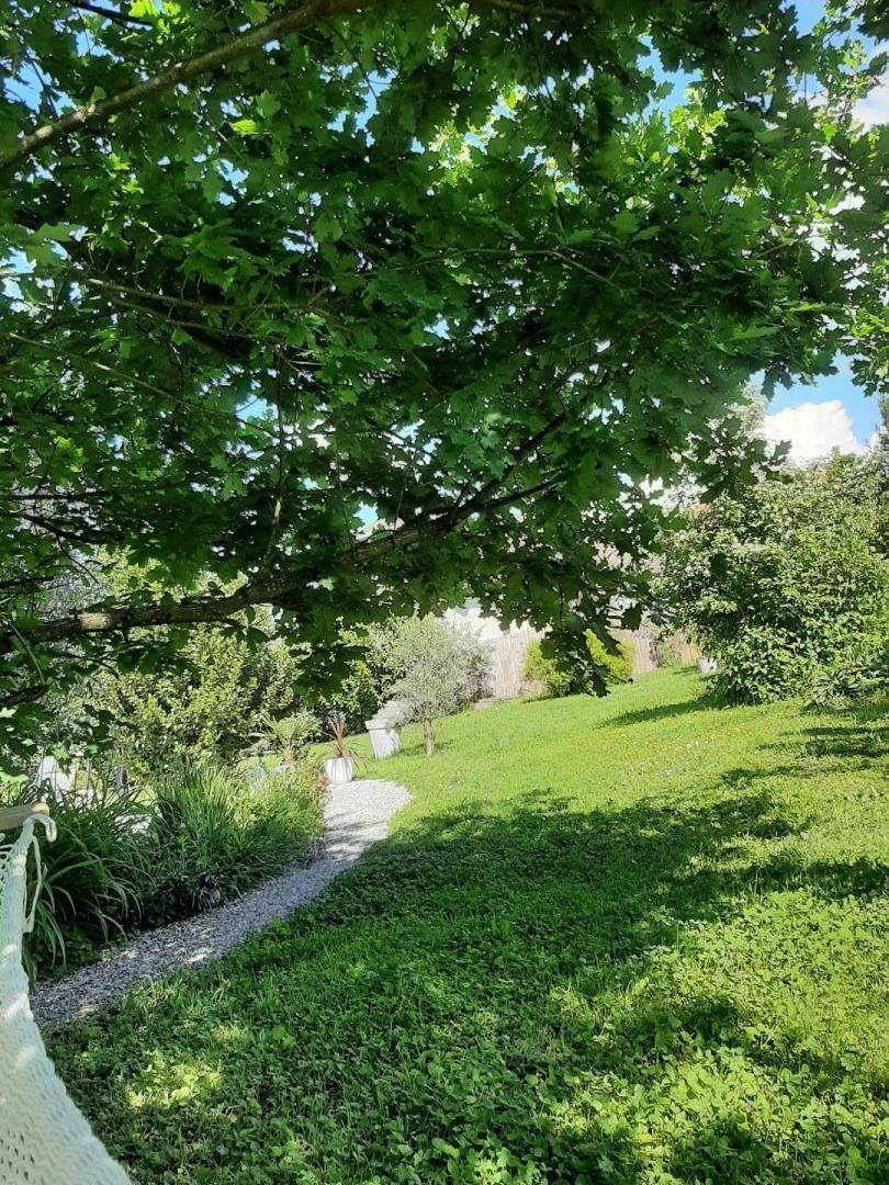 foto40