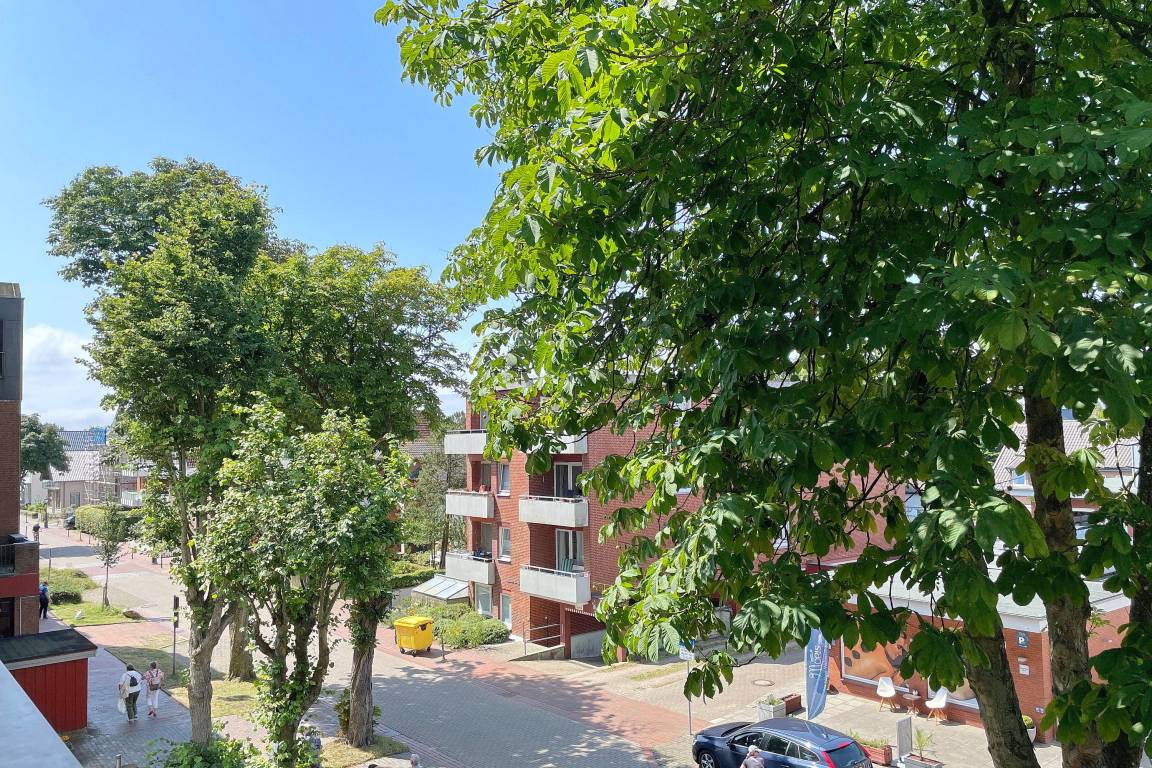 foto13