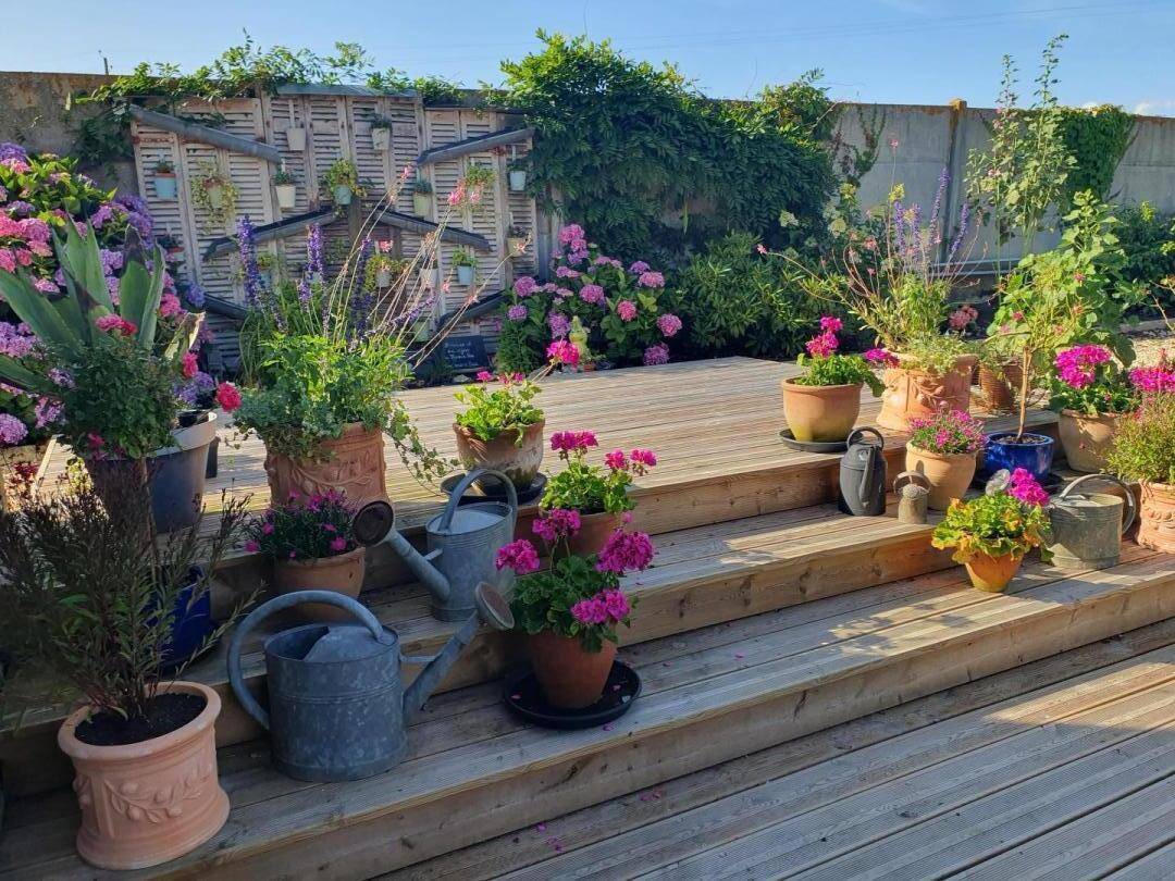 foto22