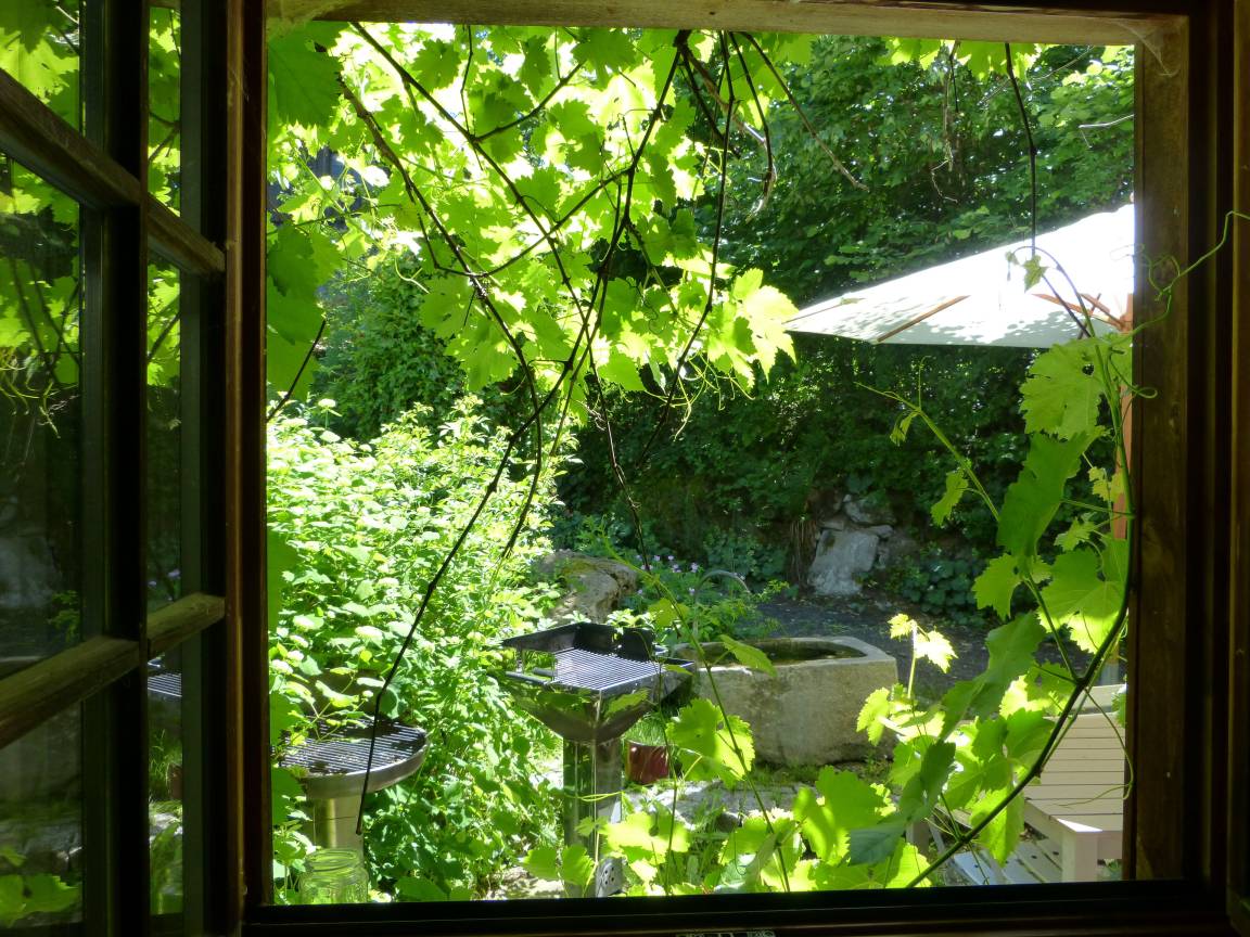 foto9
