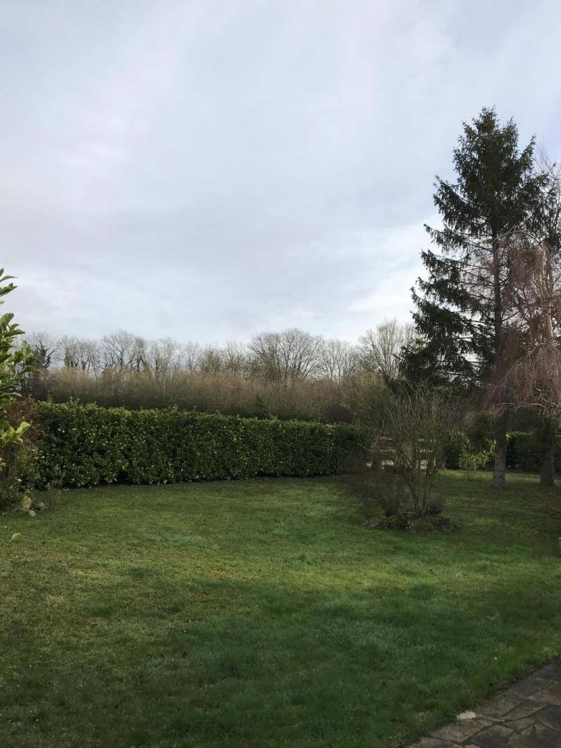 foto17
