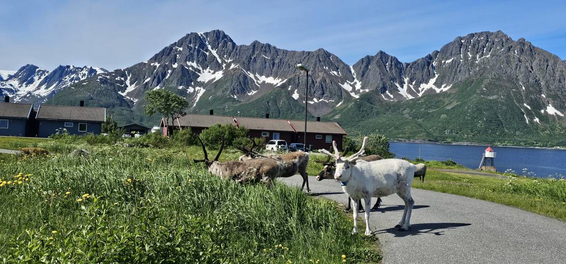 Condo ∙ 3 Bedrooms ∙ 4 Guests - Alta