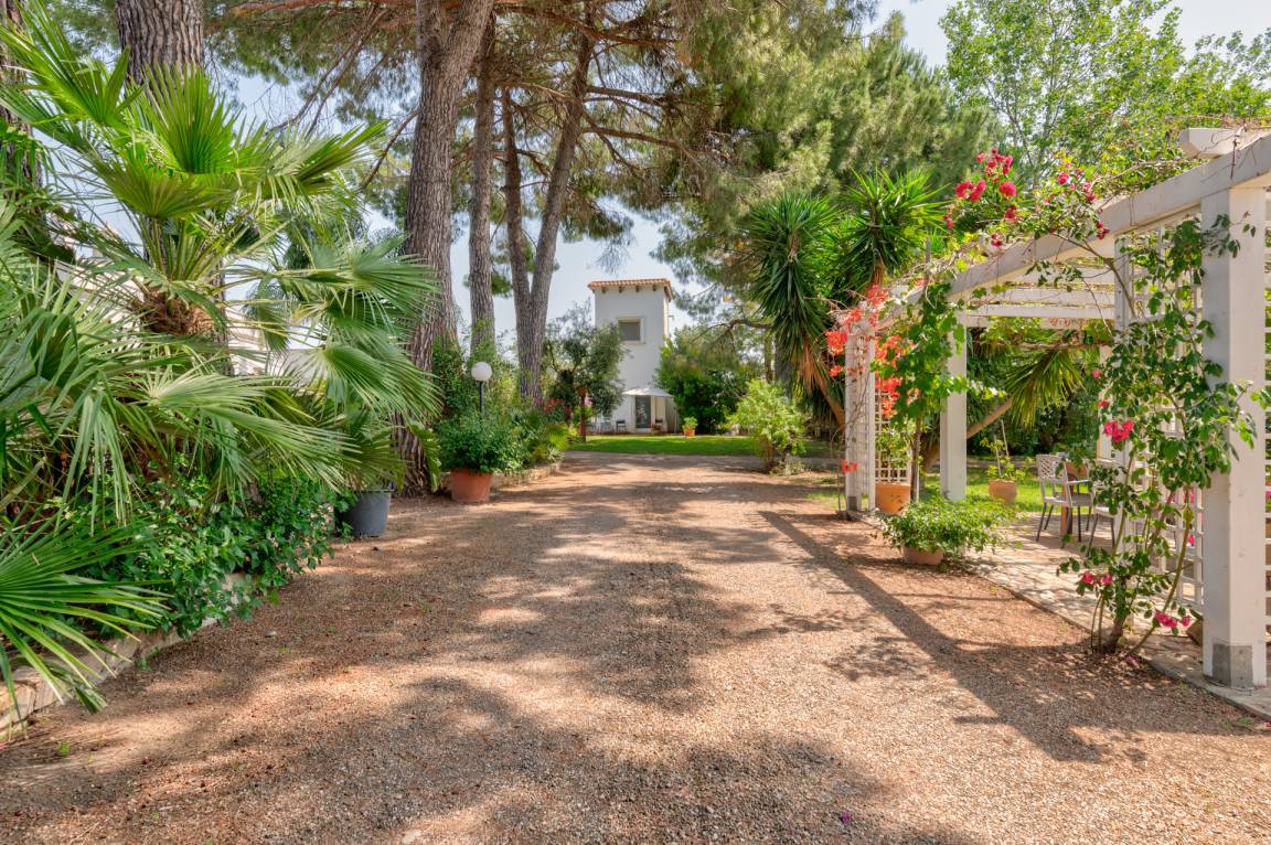 60 M² Agriturismo ∙ 1 Camera Da Letto ∙ 3 Ospiti - Puglia