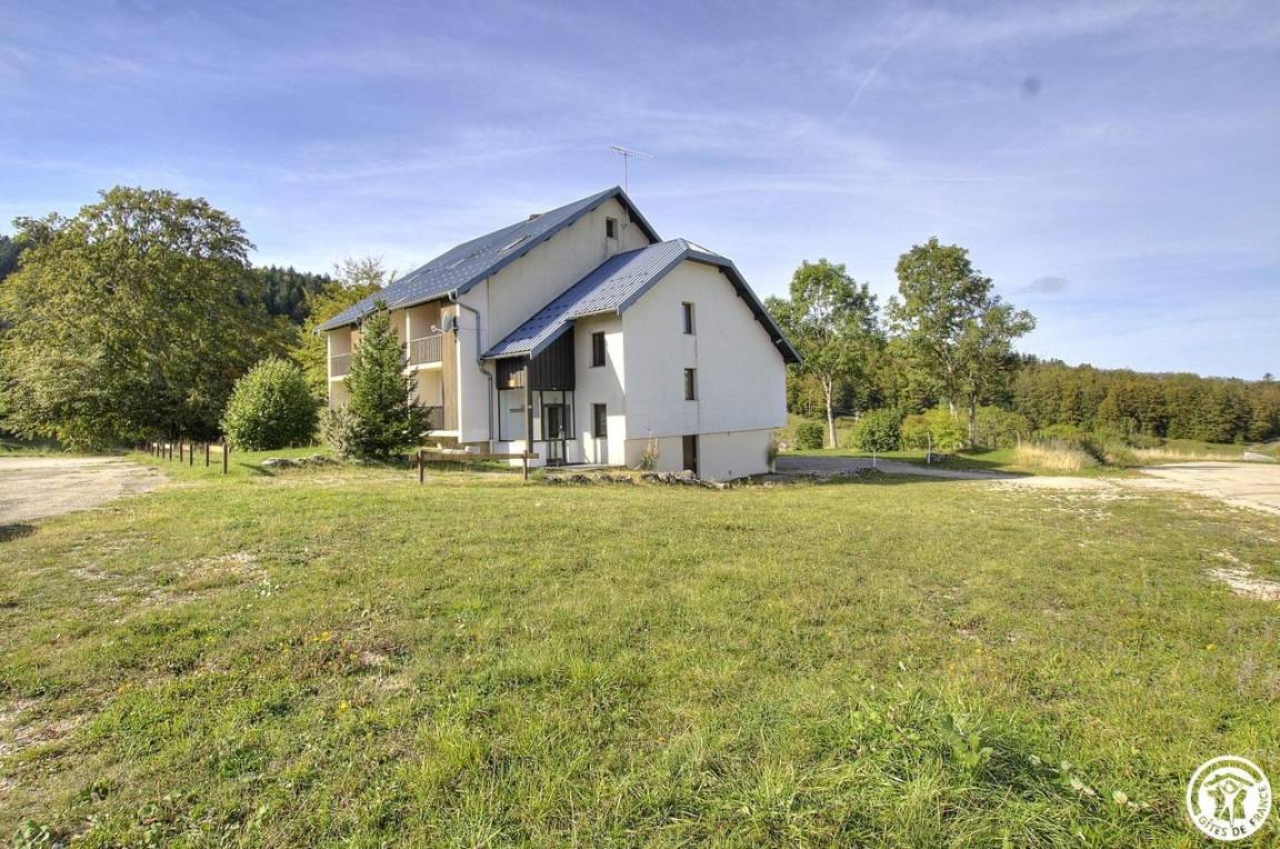 foto2