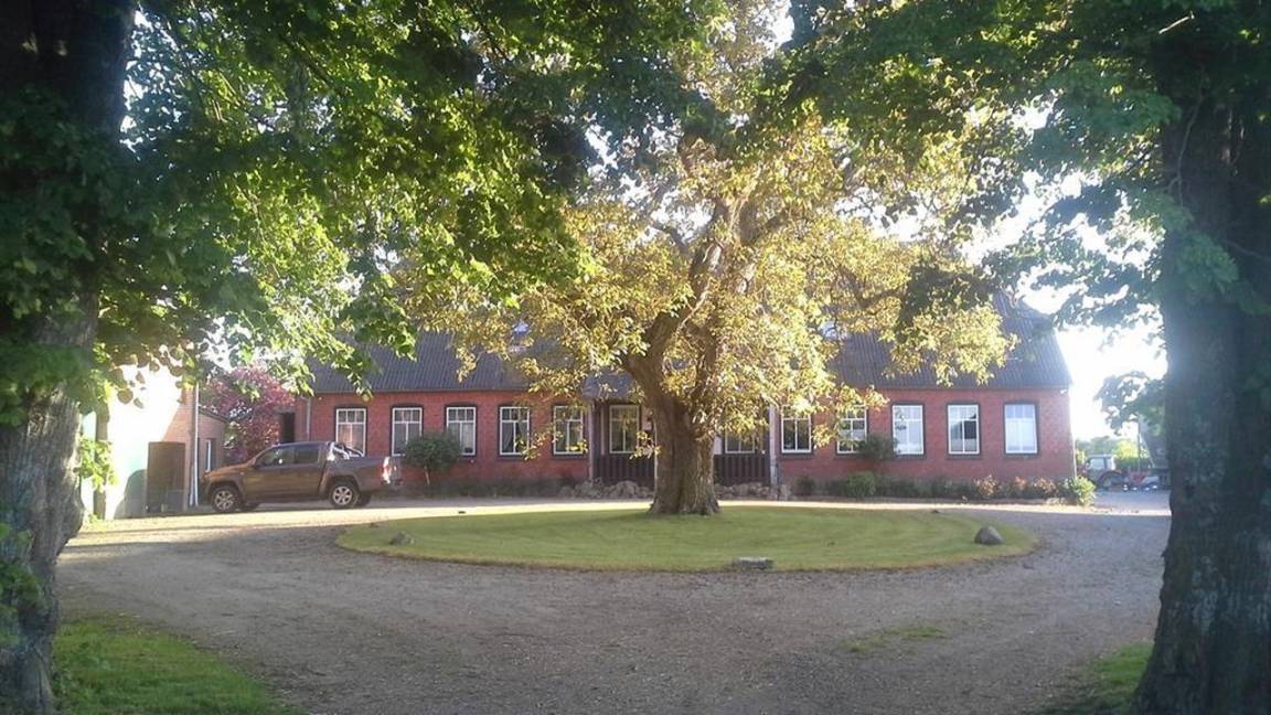 65 M² Ferienwohnung ∙ 2 Schlafzimmer ∙ 6 Gäste - Langballig