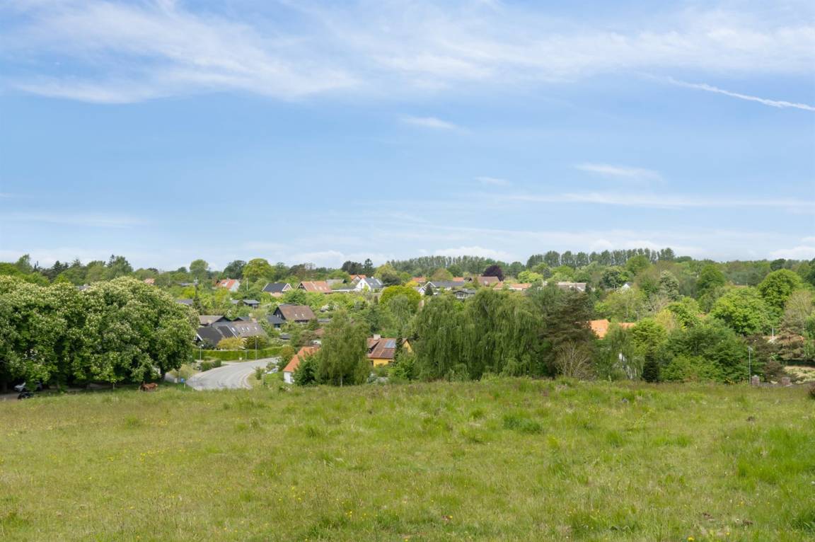 foto2