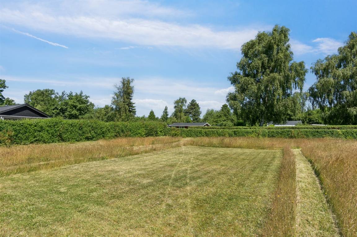 foto20