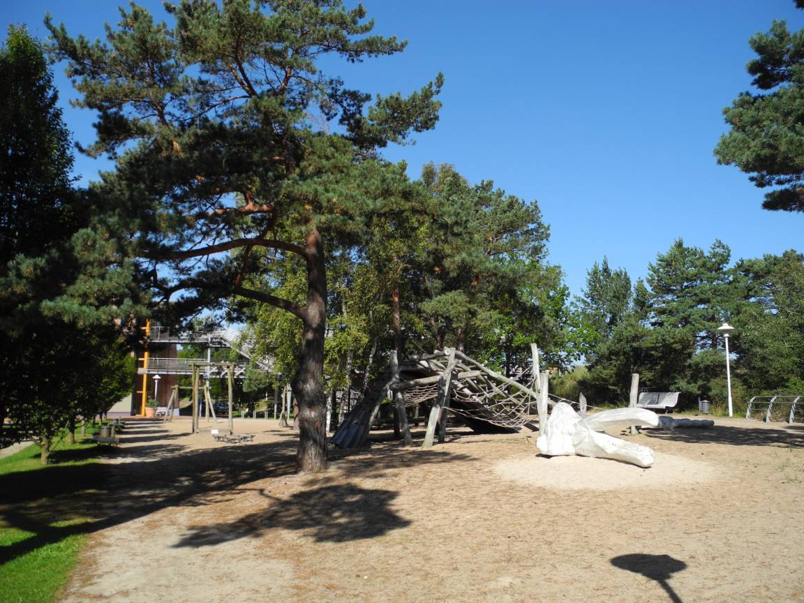 foto16