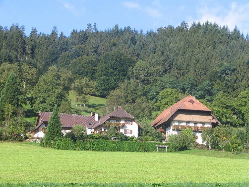 60 M² Appartement ∙ 1 Chambre ∙ 2 Personnes - Schuttertal