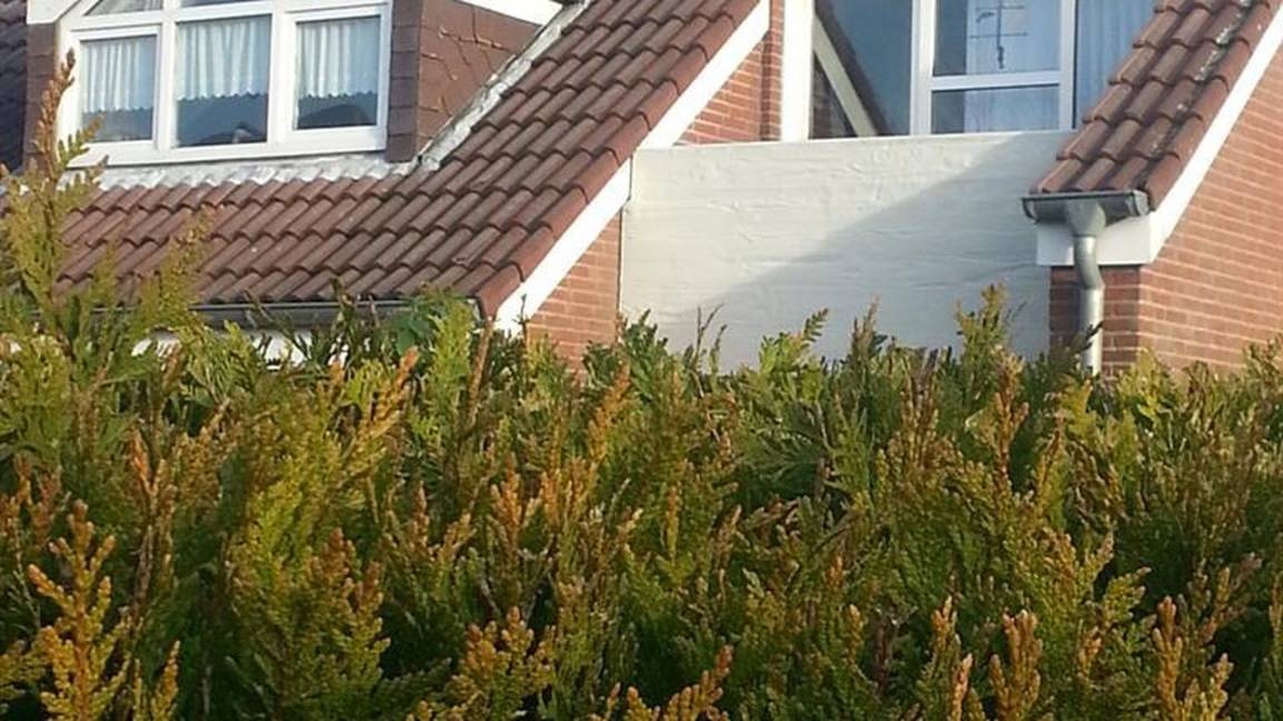 60 M² Ferienwohnung ∙ 2 Schlafzimmer ∙ 4 Gäste - Baltrum