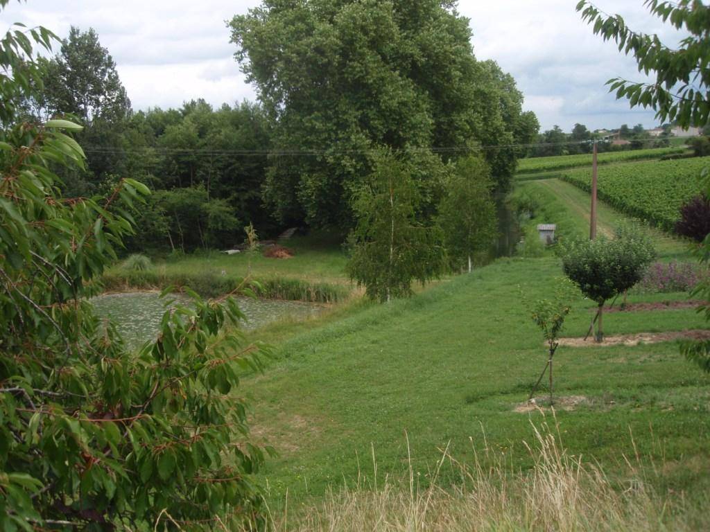 foto10