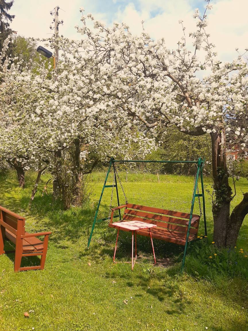 18 m² Privatzimmer ∙ 1 Schlafzimmer ∙ 2 Gäste – Bild 12