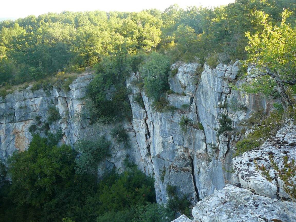 foto31
