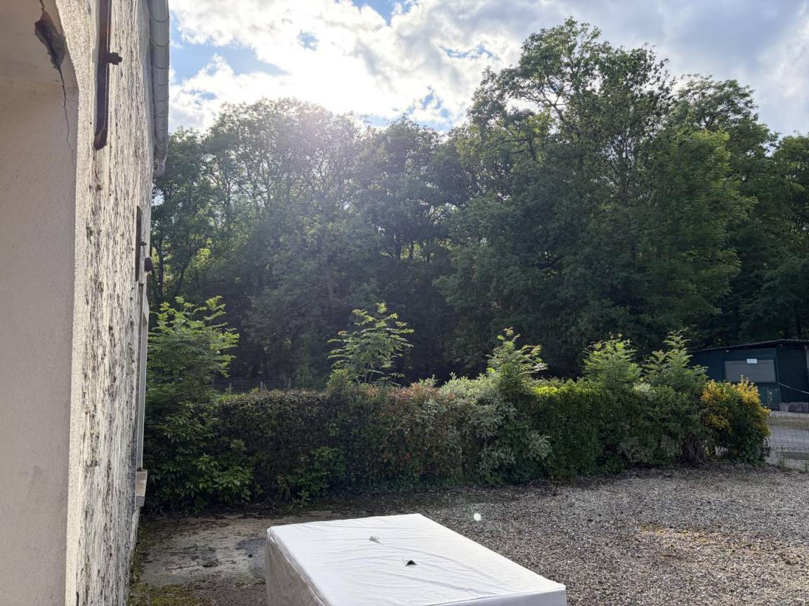 foto21