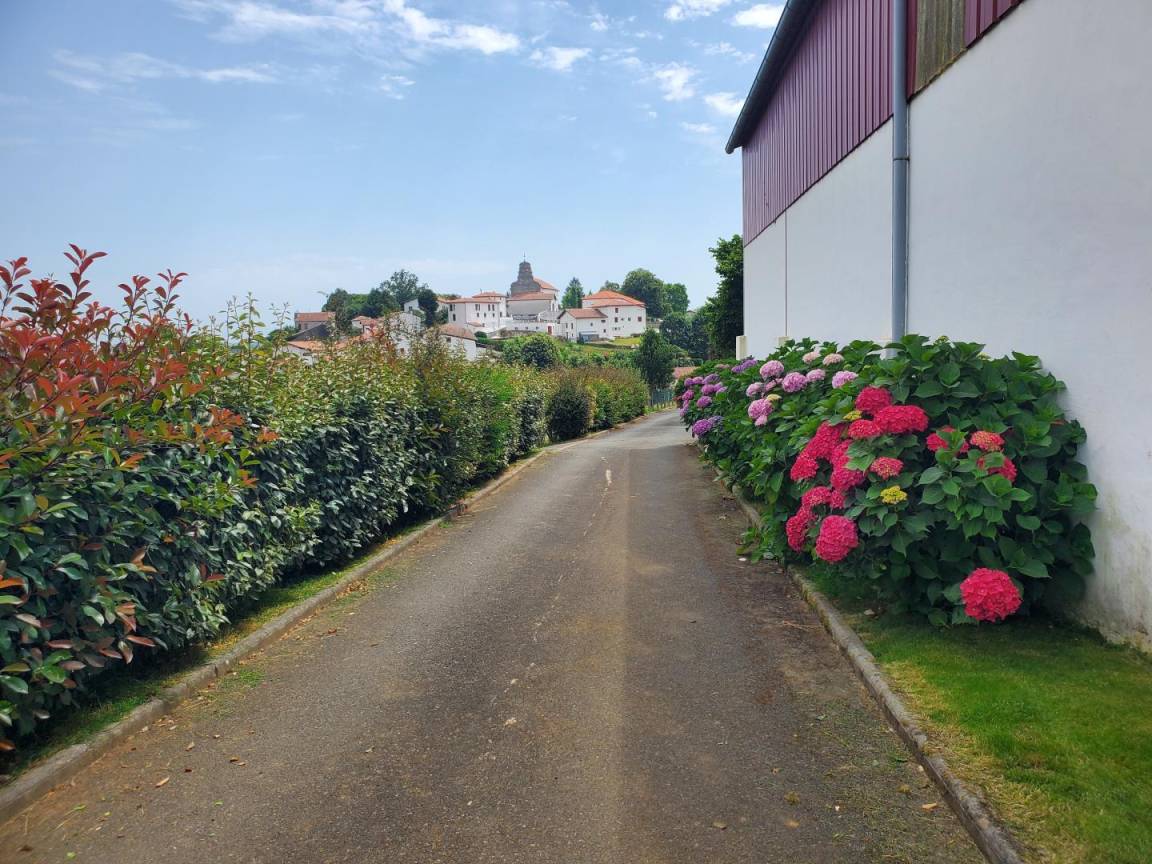 foto22