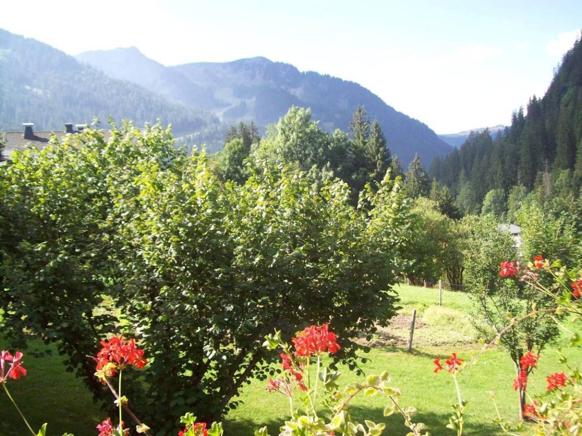 foto11