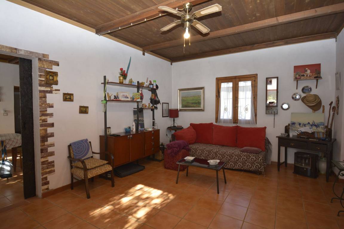 foto7