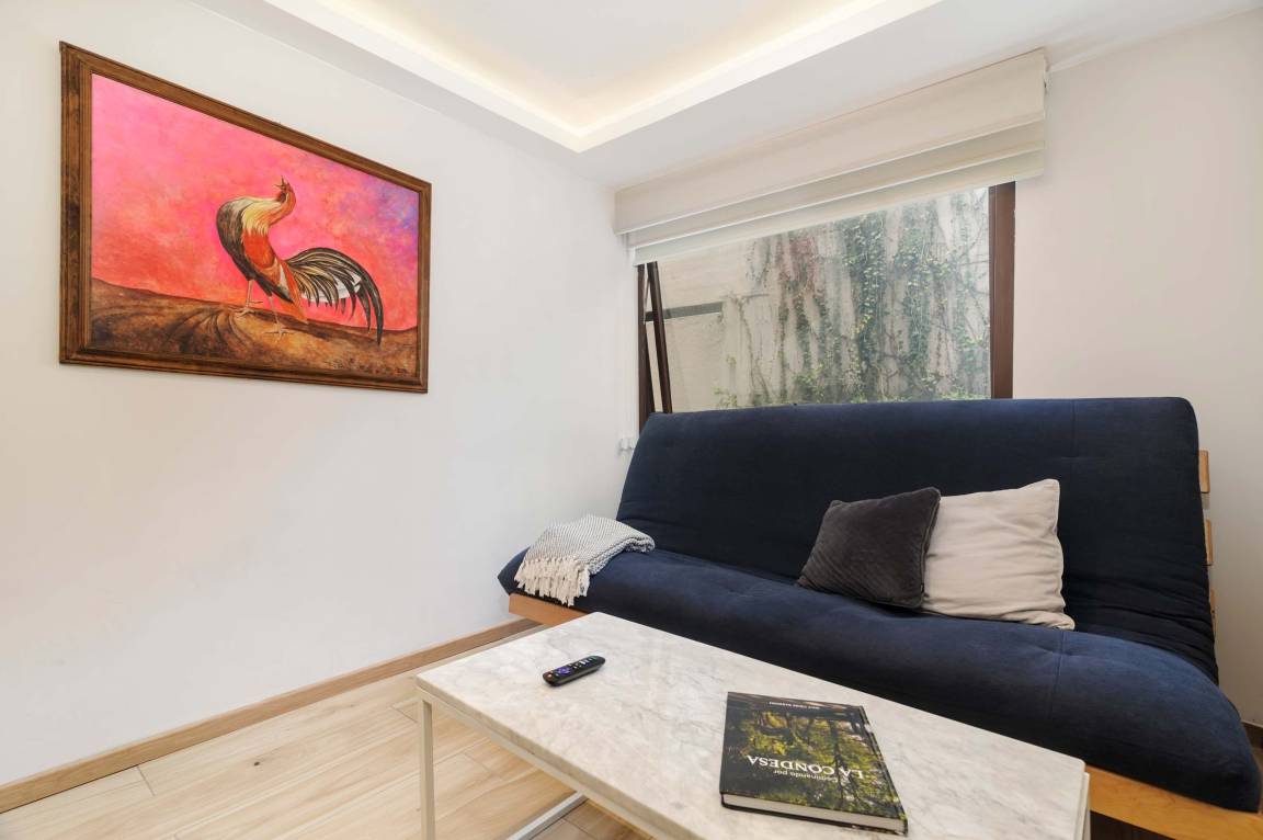 Apartment ∙ 1 Bedroom ∙ 2 Guests - Mexico State