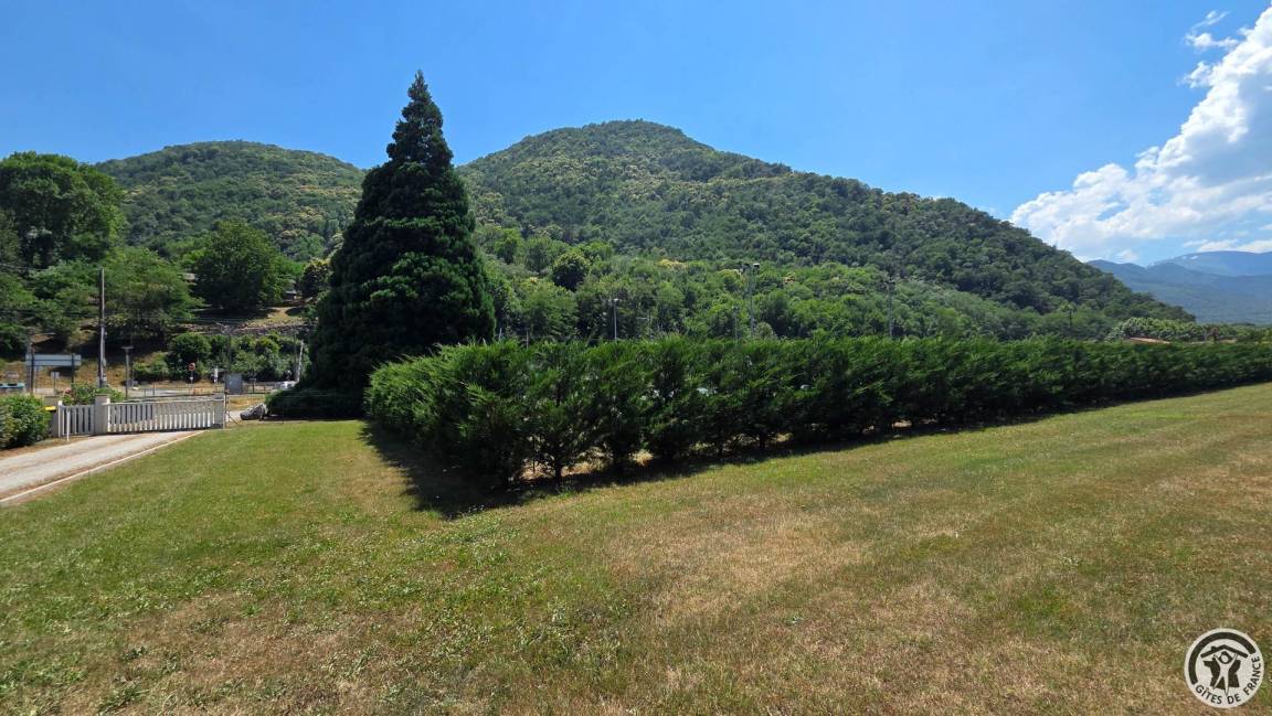 foto19