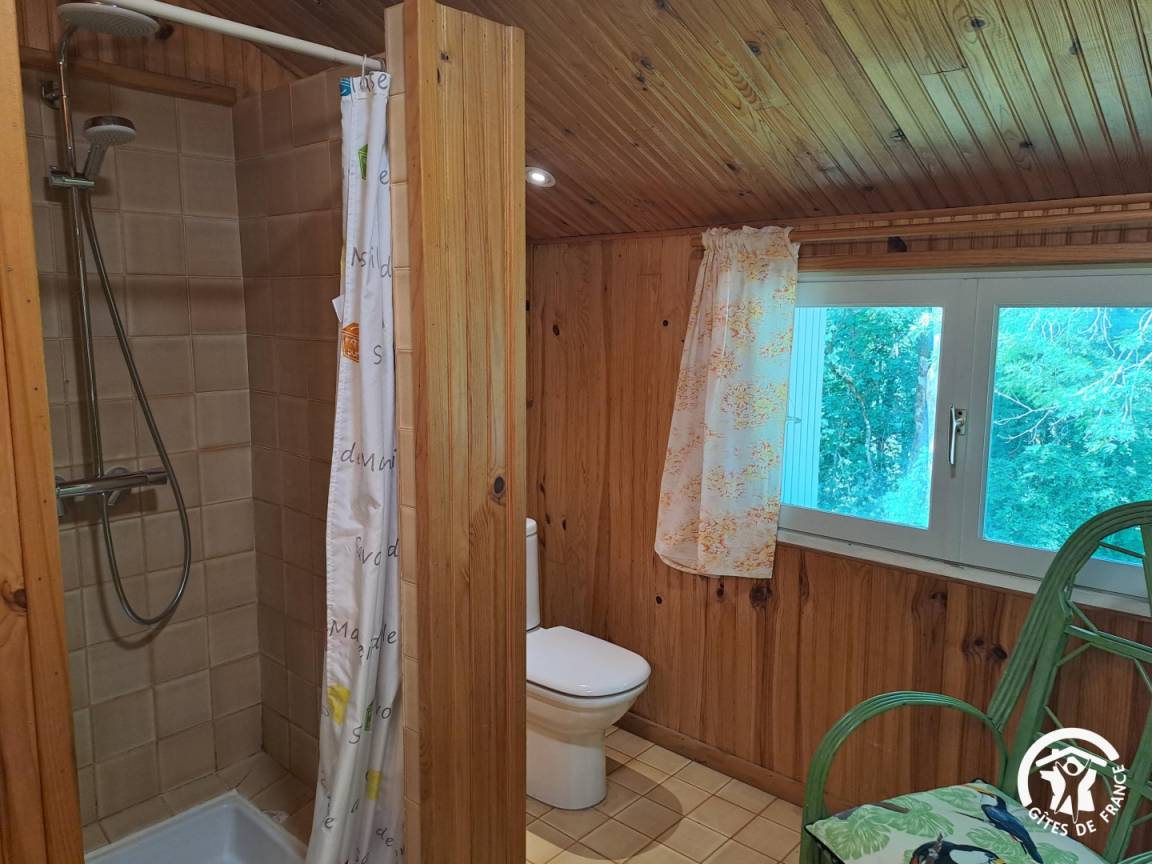 foto29