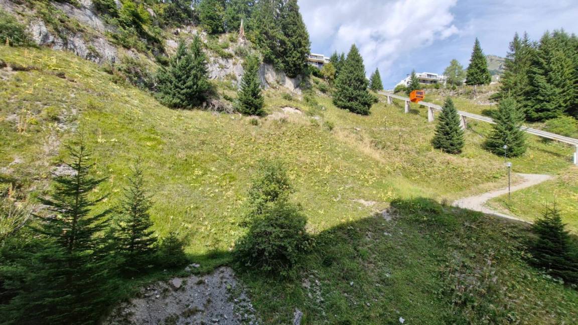 foto14