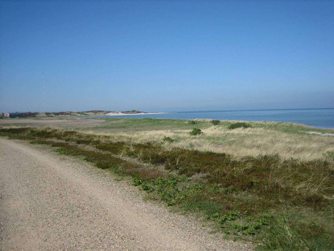 foto17
