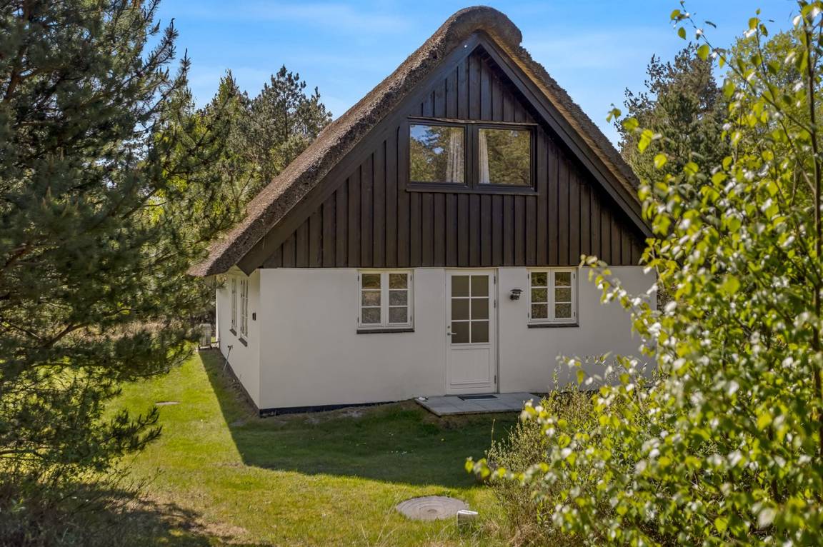 foto29
