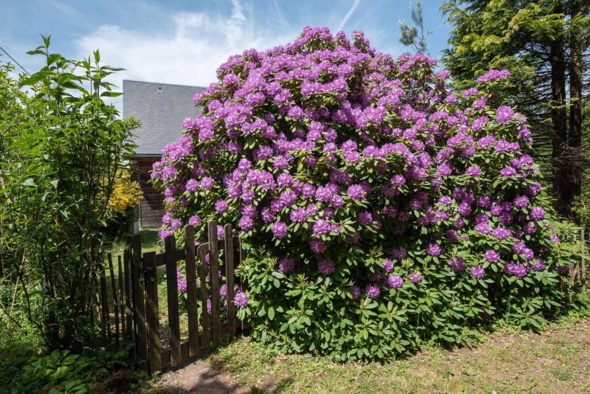 foto27