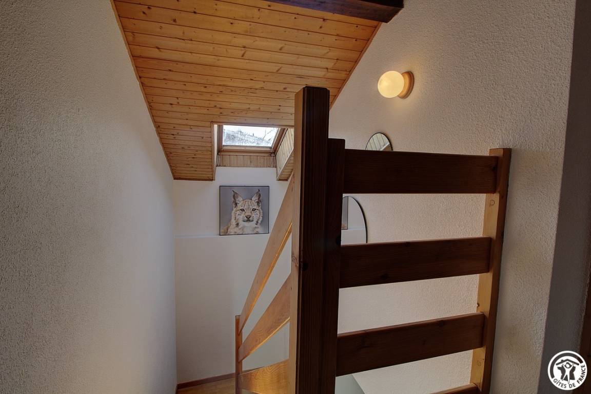 foto8