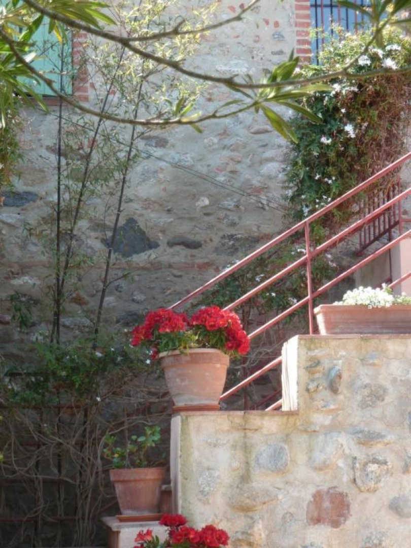foto18