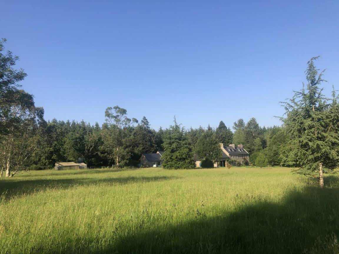 foto16
