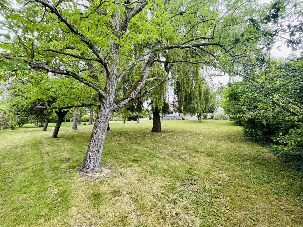 foto10