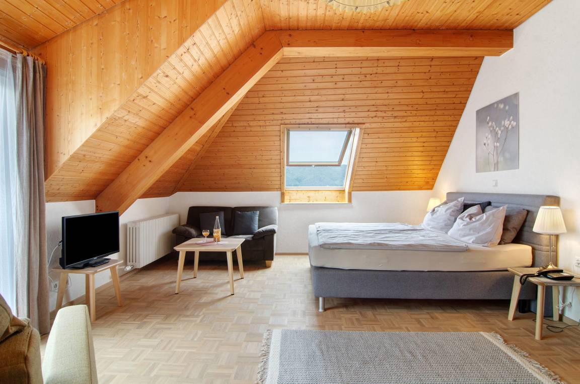 40 M² Ferienwohnung ∙ 1 Schlafzimmer ∙ 2 Gäste - Radolfzell am Bodensee