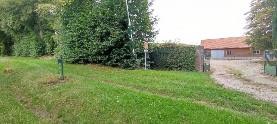 foto10