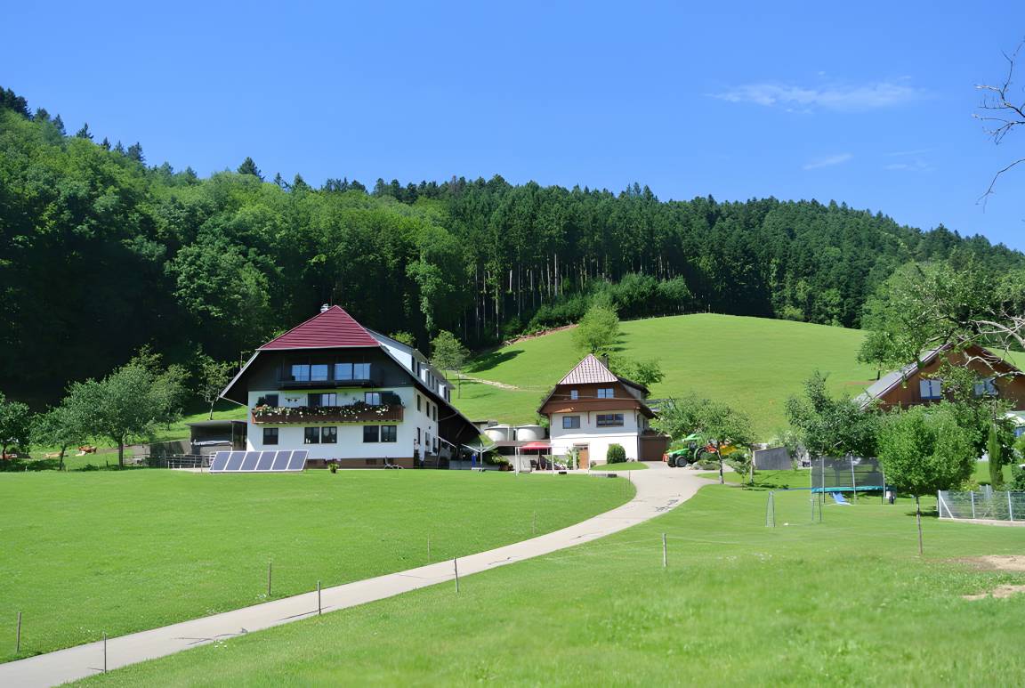 60 M² Ferienwohnung ∙ 2 Schlafzimmer ∙ 4 Gäste - Hausach