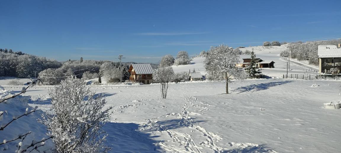 foto41