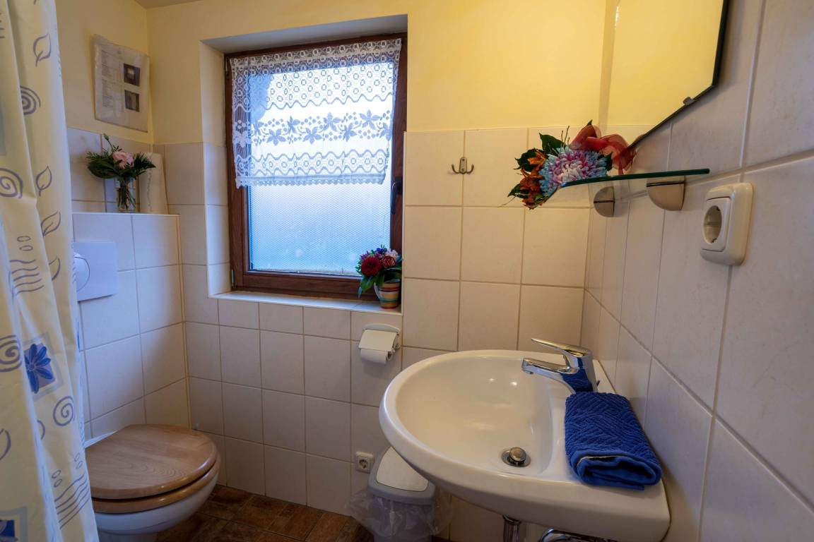 foto19