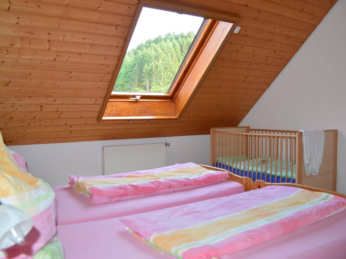 foto6