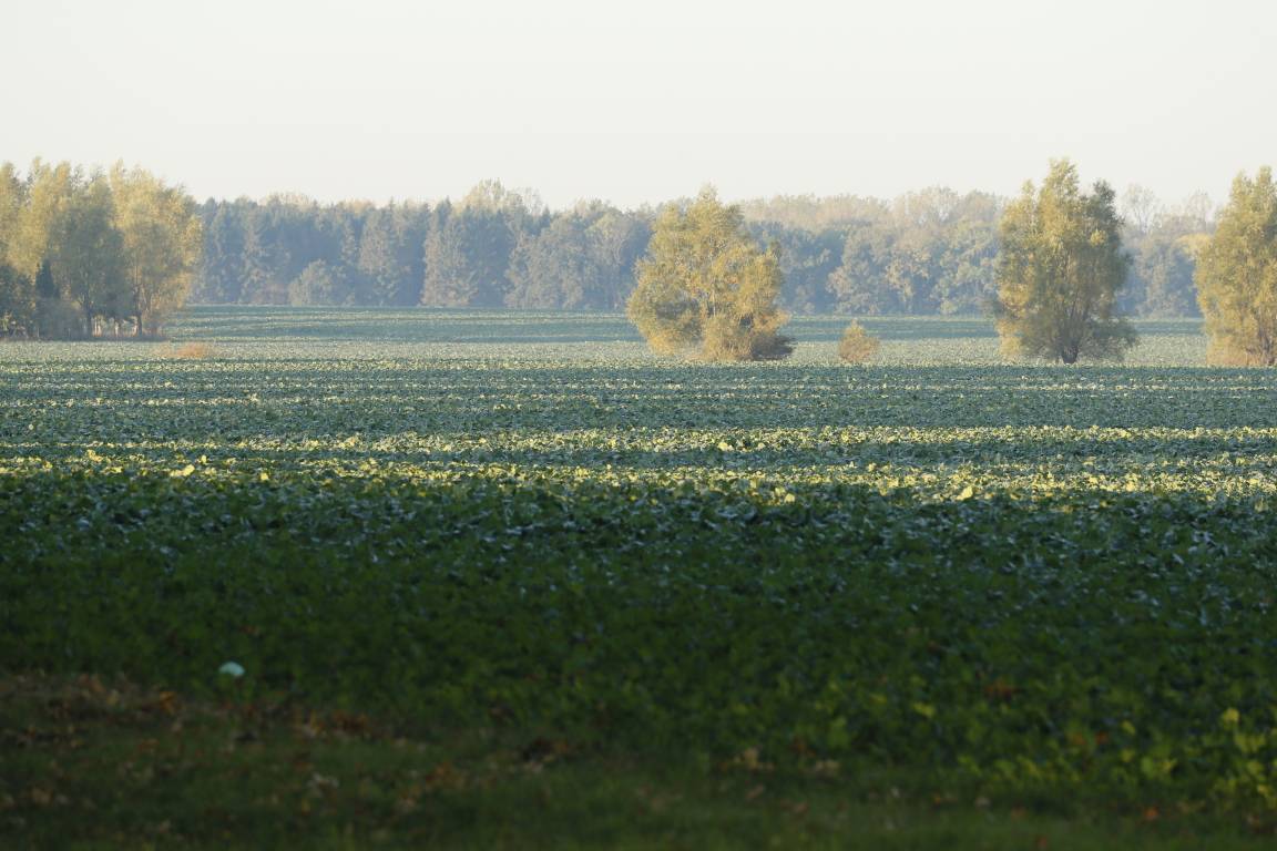 foto6