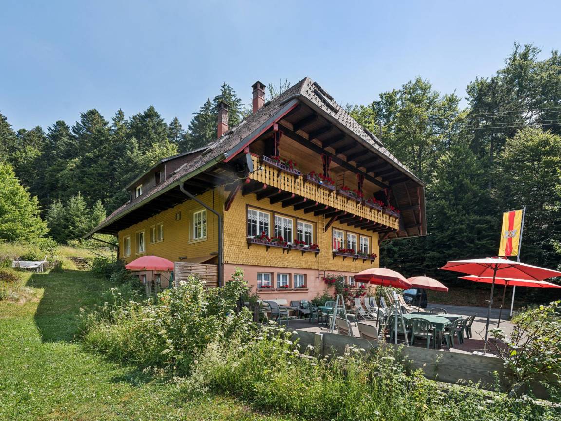 foto1