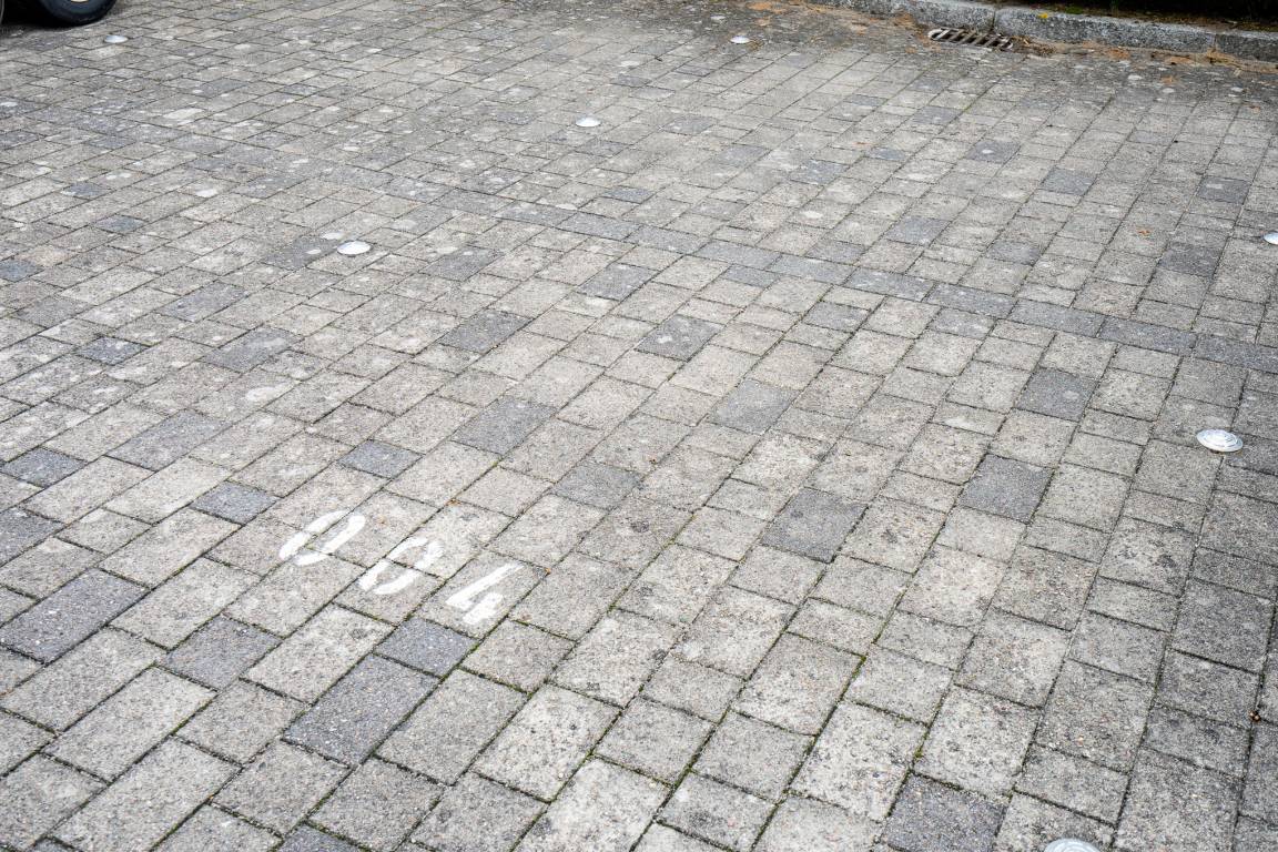 foto31