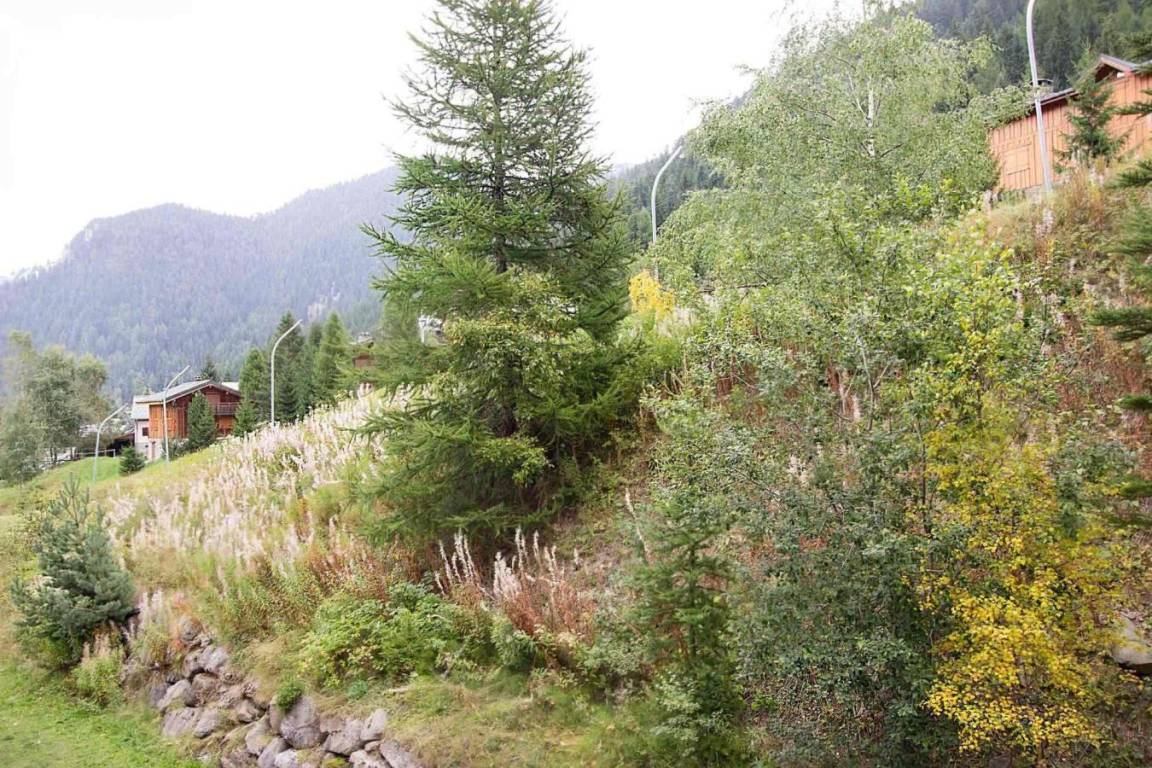 foto4