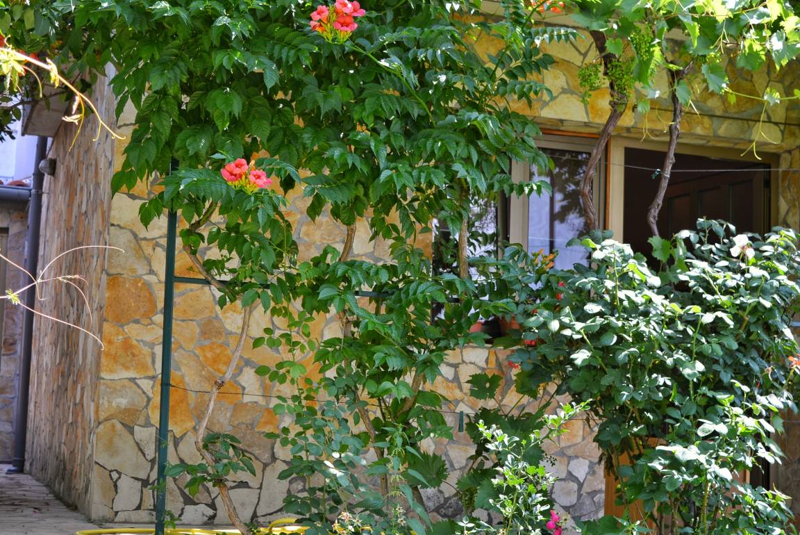 21 M² Estudio ∙ 1 Habitación ∙ 2 Huéspedes - Kraljevica