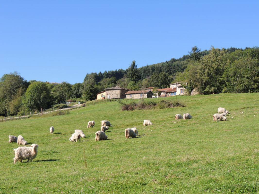 foto5