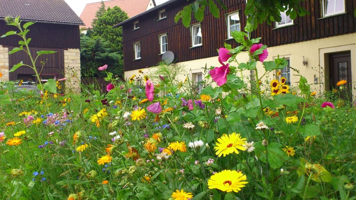 235 M² Ferienhaus ∙ 6 Schlafzimmer ∙ 12 Gäste - Pirna